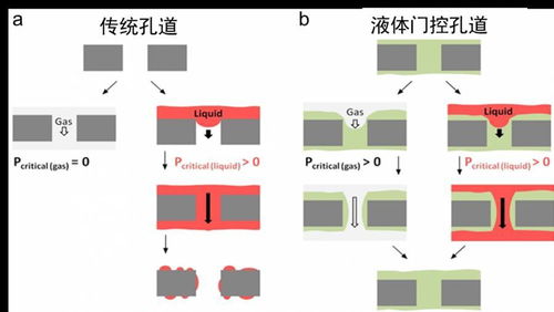 闽江科学传播者丨厦门大学 仿生设计 沟通生物与新材料的桥梁