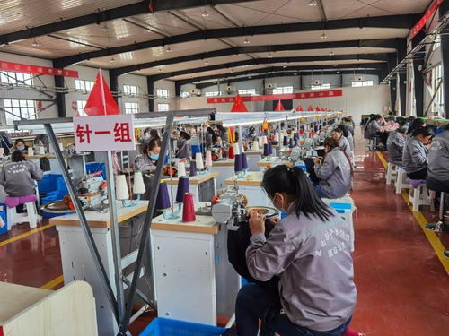 现实版 山海情 厦门唯一上榜集体 国家级殊荣