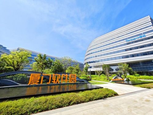 厦门思明 打造人工智能生态圈 为新质生产力蓄势赋能