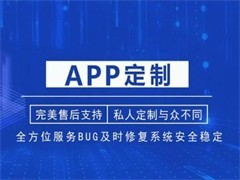 厦门系统软件开发