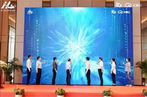 以 码 会友,共筑智慧美丽厦门 首届 天翼云杯 厦门软件开发大赛盛大开幕