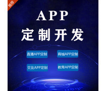 厦门应用软件开发