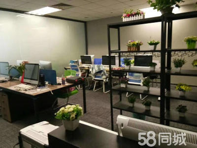 厦门软件开发,APP开发,微信小程序开发,网站建设