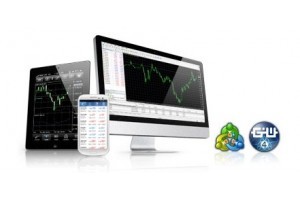 厦门MT4软件出租专业系统搭建CRM开发