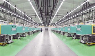 厦门为高技术 高成长 高附加值企业成长播撒甘露